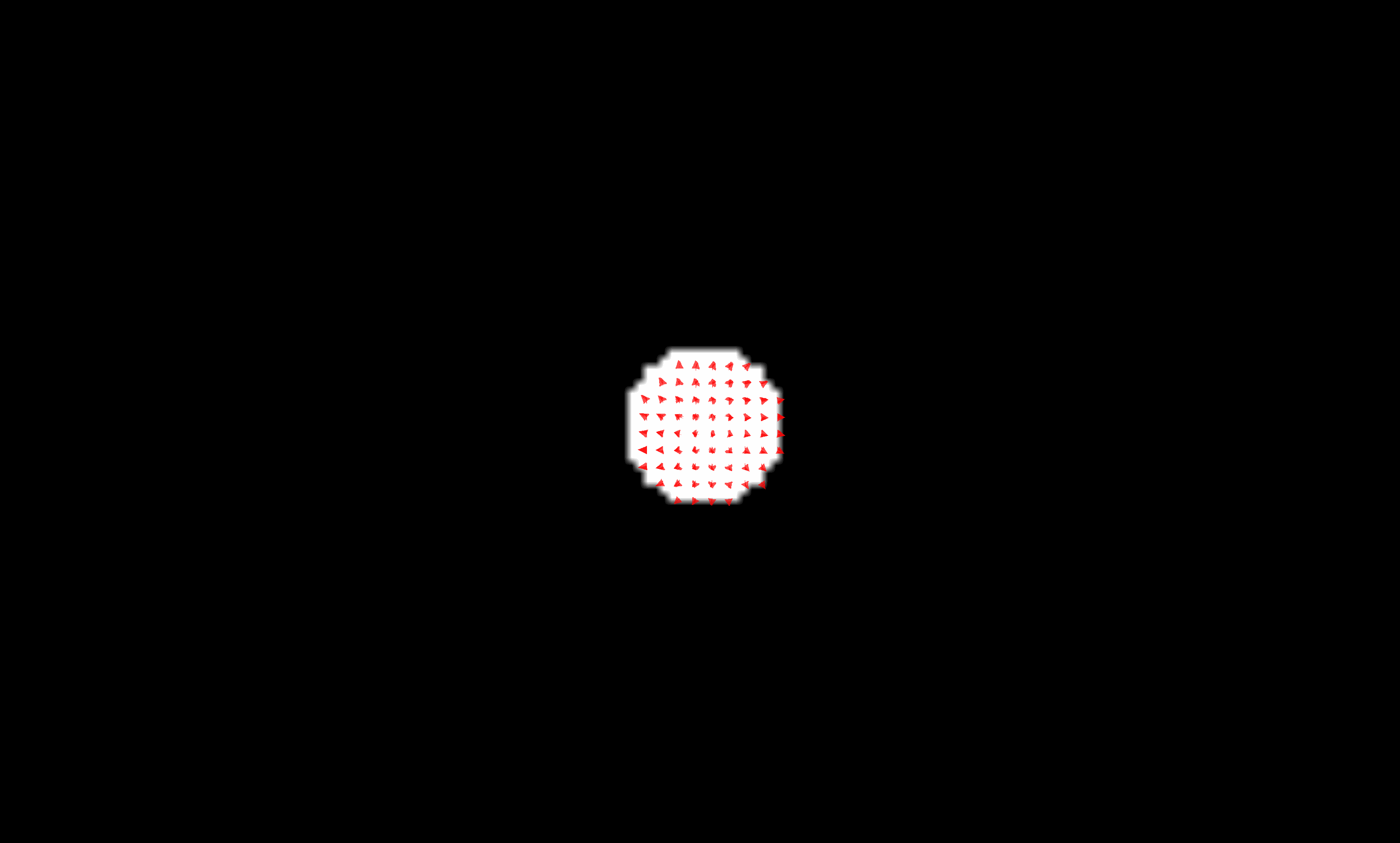 ../assets/sphere_registered_vectorfield.gif